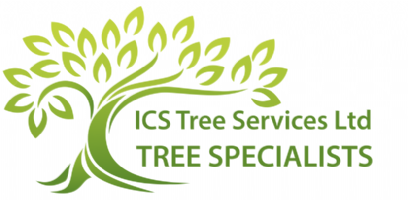 ICS Tree Services Ltd Photo