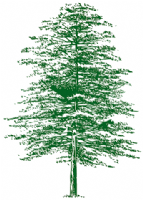 NI Farm Forestry Photo