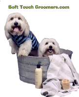 Soft Touch Dog Groomers Photo
