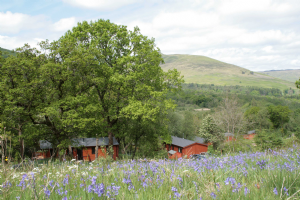 Balquhidder Braes Log Cabins Photo