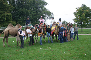Joseph''s Amazing Camels Photo