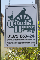 Coach House Cattery Photo