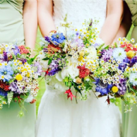 Field Gate Flowers Photo