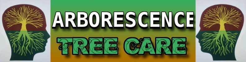 ARBORESCENCE TREE CARE Photo