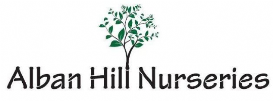 Alban Hill Nurseries Photo