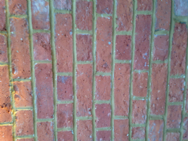Brickrepointing uk Photo