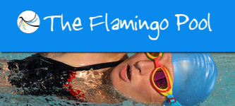 Flamingo Pool Photo