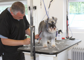 Top Cuts Dog Grooming Studio Photo