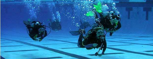 Sublime Diving Photo