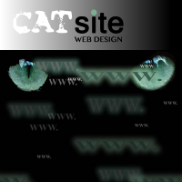 CATsite web design Photo