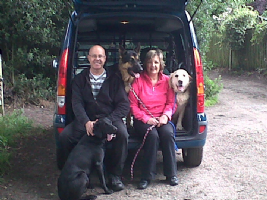 Dog Walking Care Services Photo