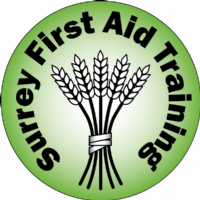 Surrey First Aid Training Photo