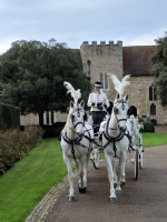 carltoncarriages Photo