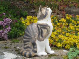 cat pottery moorside design Photo
