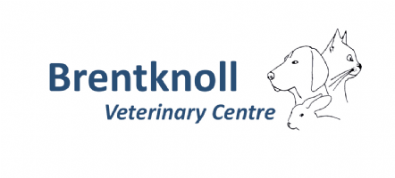 Brentknoll Veterinary Centre Photo