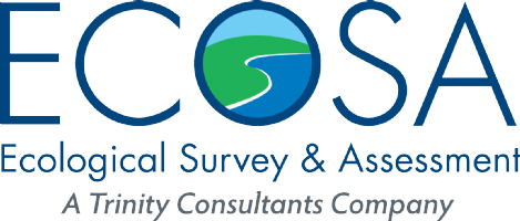 Ecological Survey & Assessment Ltd (ECOSA) Photo