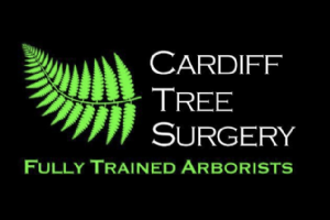 Cardiff Tree Surgery  Photo