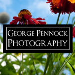 George Pennock Photography Photo