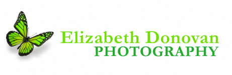 Elizabeth Donovan Photography Photo