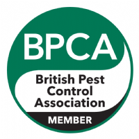 Emerald Pest Control Ltd  Photo