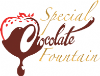 Special Chocolate Fountains Photo