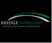 Bridge Newland Limited Photo