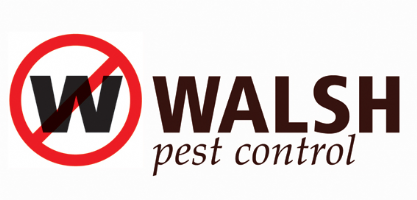 walshpestcontrol.co.uk Photo