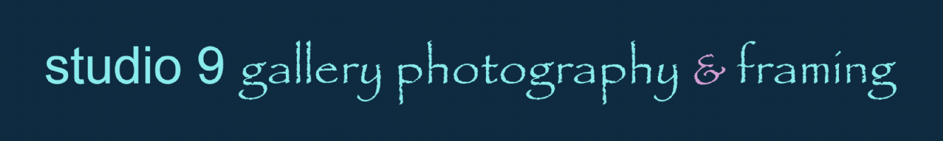 studio9.photography Photo