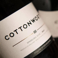 cottonworth.co.uk Photo