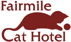 Fairmile Cat Hotel Photo