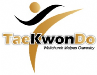 Malpas Tae Kwon Do Photo
