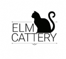 ELM Cattery Photo