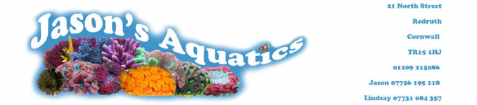 jasonsaquatics Photo