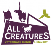 All Creatures Veterinary Health Centre Ltd Photo