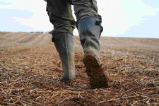 Woolsthorpe Wellies Photo