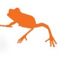 Orange Frog Mortgages Photo