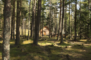 Cairngorm Lodges Photo