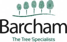 Barcham Trees Photo