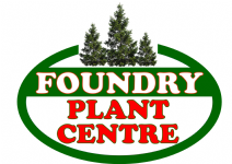 Foundry Plant Centre Photo