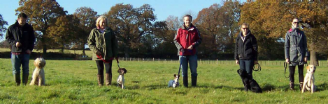 Co-operative Canines Dog Training & Behaviour Photo