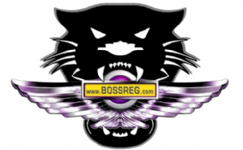 BOSSREG.com Photo