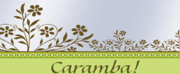 Caramba Spanish Tuition - Buckingham Photo