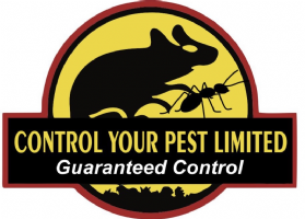 control your pest limited Photo