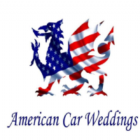 American Car Weddings Photo