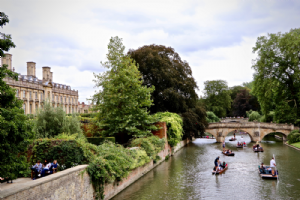 Traditional Punting Company Photo