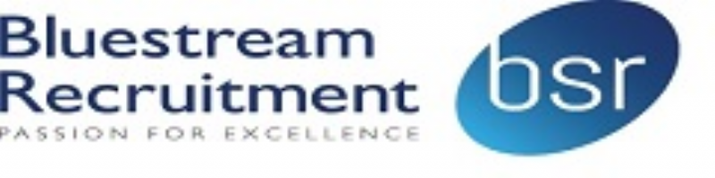 Bluestream Recruitment Photo