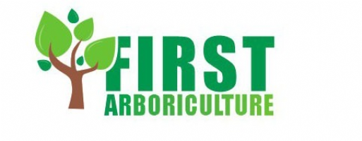 First arboriculture Photo