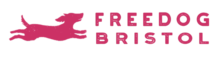 Freedog Bristol Soft Play and Trampolines Photo