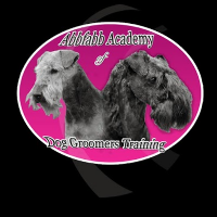 Abbfabb Academy Of Dog Grooming Training Photo