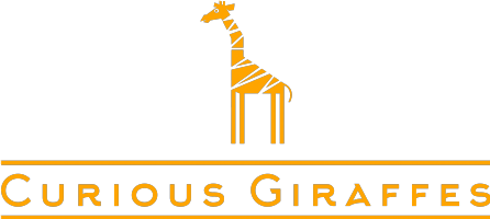 Curious Giraffes Photo